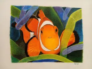 Symbiosis: Orange Clownfish (Amphiprion percula) colored-pencil marine wildlife artwork by Michael E. Dorcas, Tantilla Art.