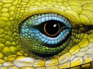 Extreme close-up of a Green Anole eye surrounded by green, yellow, and blue scales, colored pencil wildlife artwork by Michael E. Dorcas, Tantilla Art.
