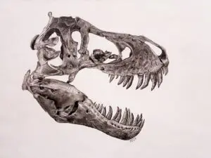 Mesozoic Mayhem: detailed graphite drawing of a Tyrannosaurus rex skull and lower jaw by Michael E. Dorcas, Tantilla Art.