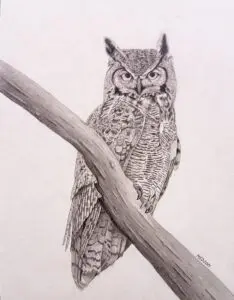 Night Watch: Great Horned Owl (Bubo virginianus) perched on a branch, graphite wildlife artwork by Michael E. Dorcas, Tantilla Art.