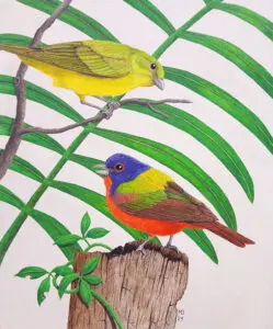Male and female Painted Buntings perched among sweeping green leaves in a colored-pencil wildlife drawing.