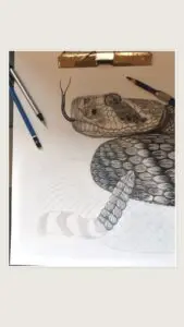 ATROX Western Diamondback Rattlesnake graphite drawing in progress, with pencils beside the partially completed snake.