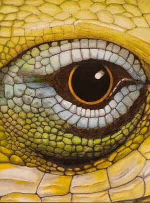 Eye of the Beholder 9X12″