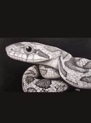 Texas Climber 9×12″