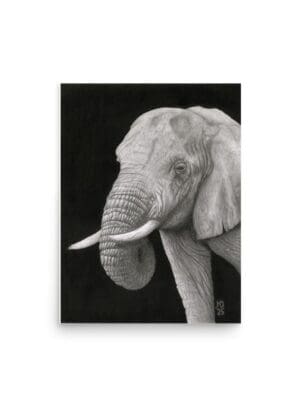 African Elephant – Fine Art Giclée Print (12 × 16 in)