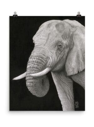 African Elephant – Fine Art Giclée Print (16 x 20 in)