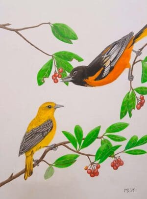 Flash of Orange 9X12″