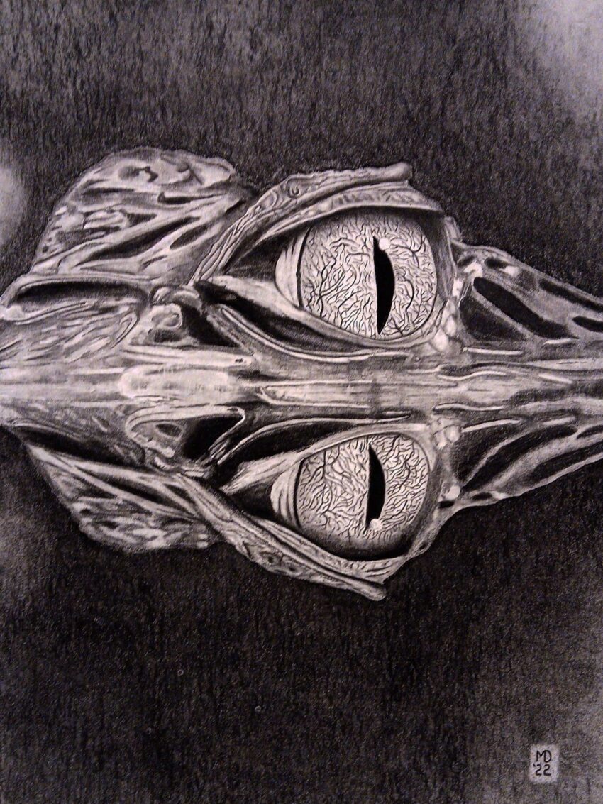 Spectacled Caiman at night with eyes above the water and a mirrored reflection, graphite pencil wildlife artwork by Michael E. Dorcas, Tantilla Art.Dorcas, Tantilla Art.